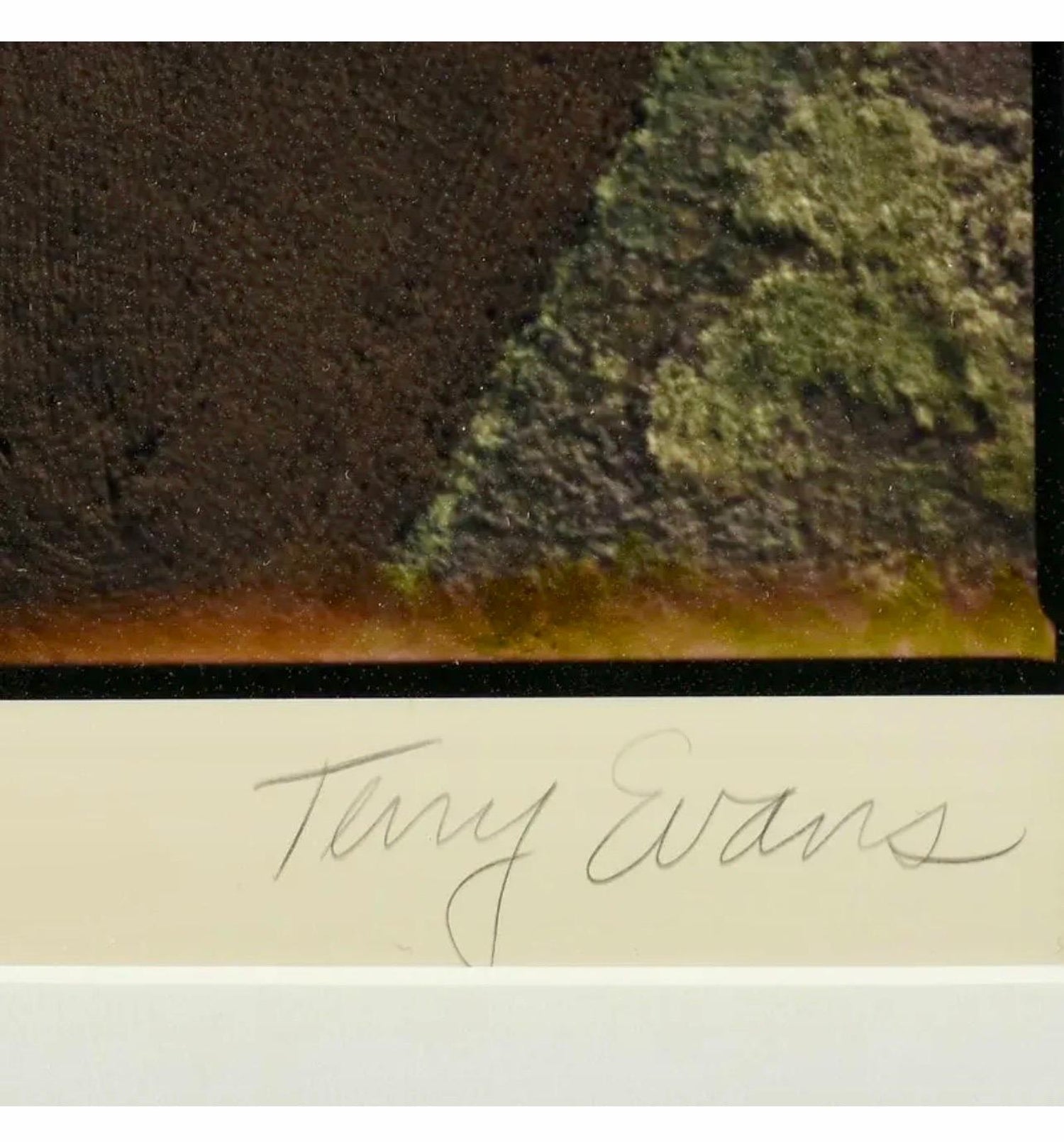 Vintage Color Abstract Art Landscape Photography Large C Print Photo Terry Evans