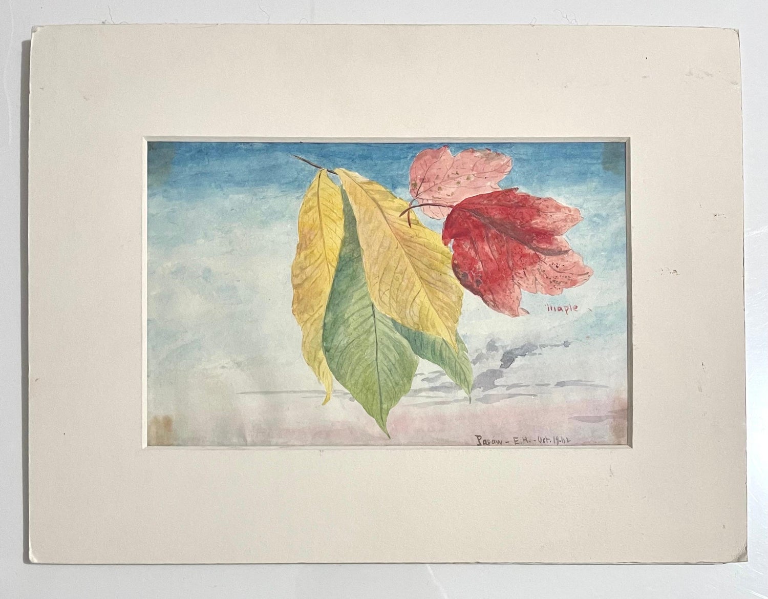 Maple Leaves Watercolor Painting 19th C. American Artist Charles DeWolf Brownell