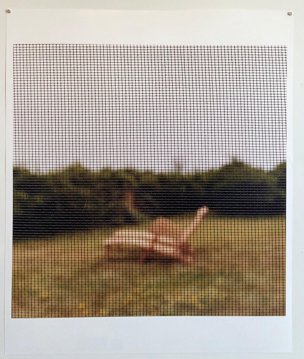 Mid Summer Memory, Large Format Photo 24X20 Color Photograph Beach House RI