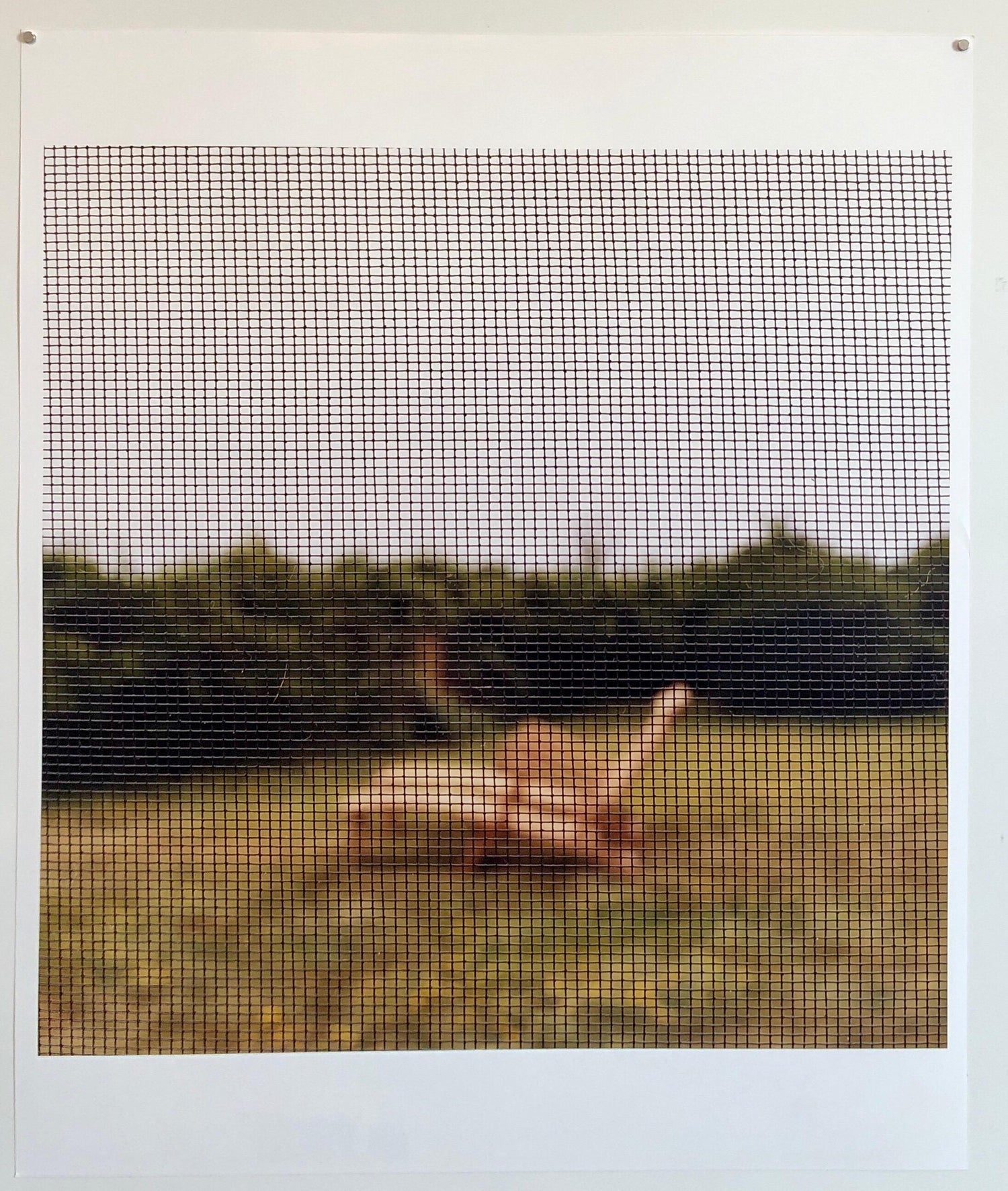 Mid Summer Memory, Large Format Photo 24X20 Color Photograph Beach House RI