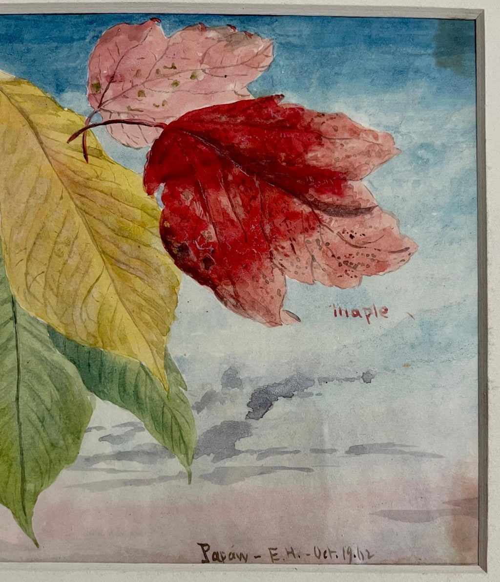 Maple Leaves Watercolor Painting 19th C. American Artist Charles DeWolf Brownell