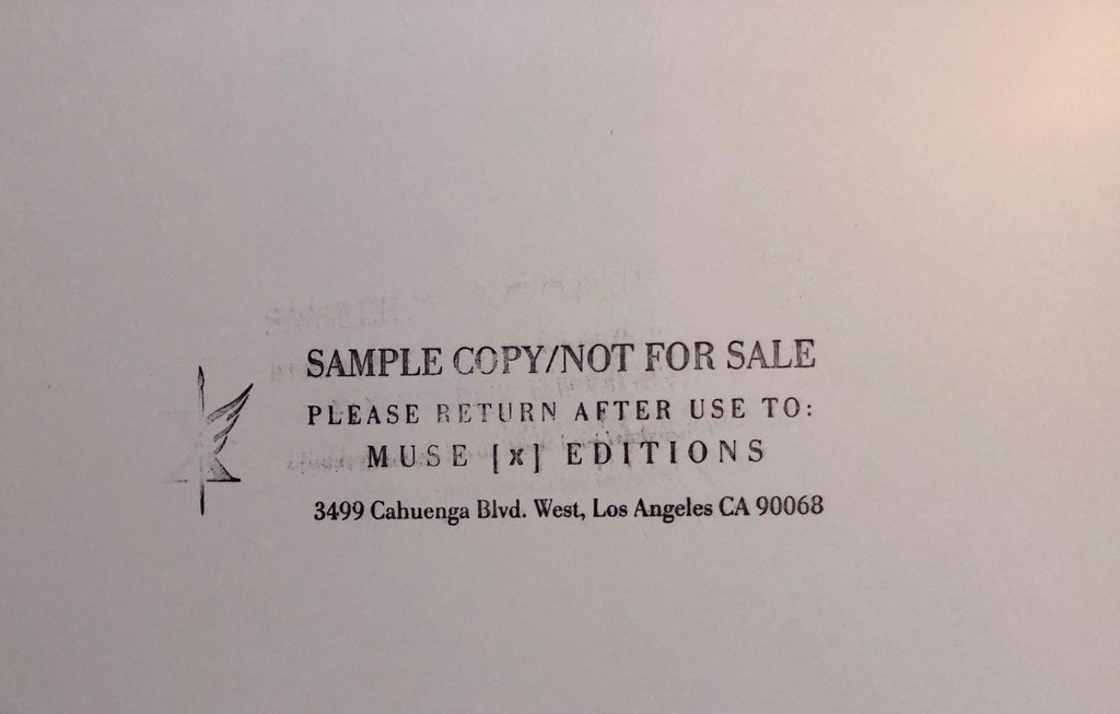 Birds, Cibachrome Photograph Print, NFS Sample Conceptual Taxidermy Art
