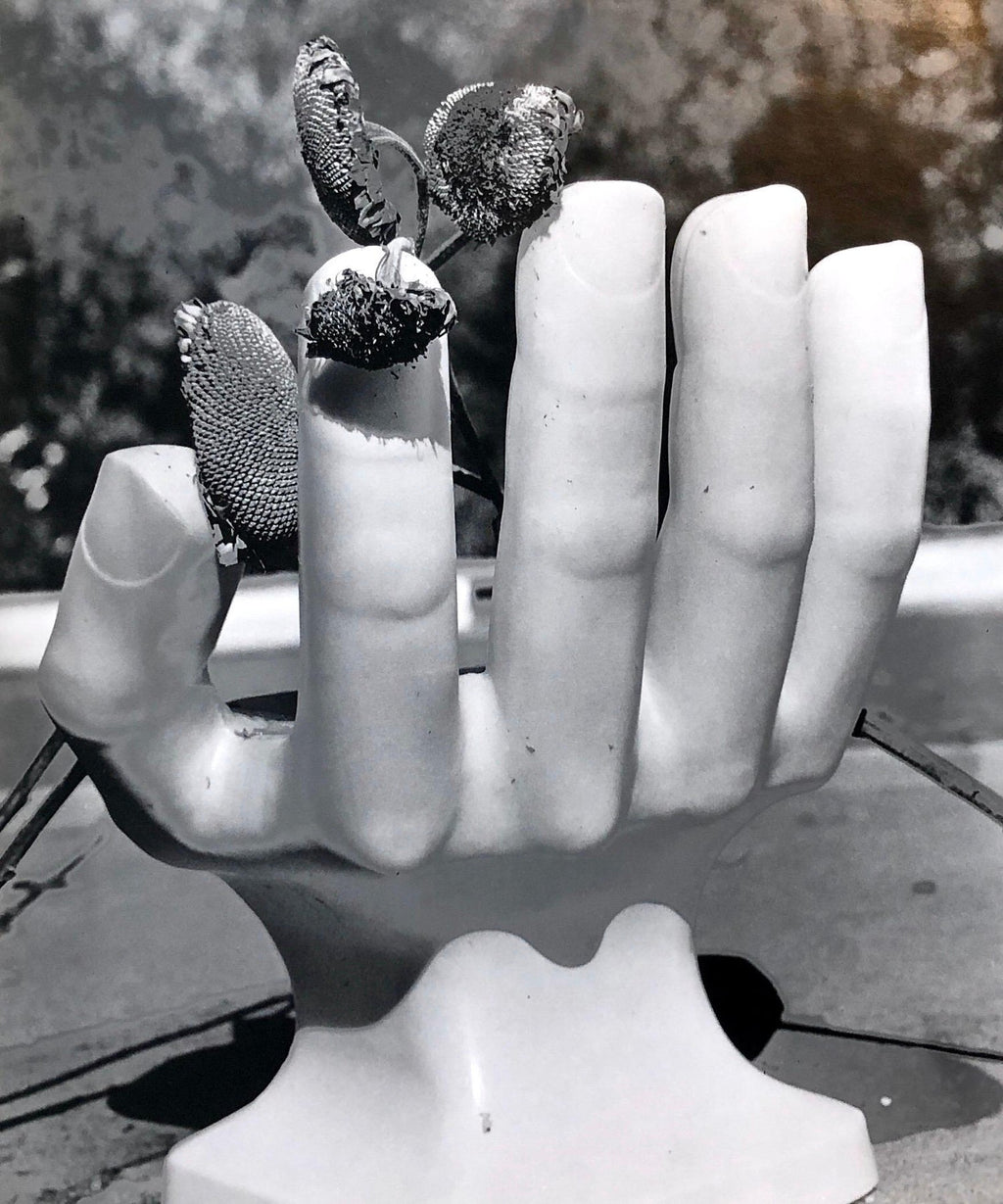 Large Vintage Print Silver Gelatin Signed Photograph Terminal Patient Bird Cover