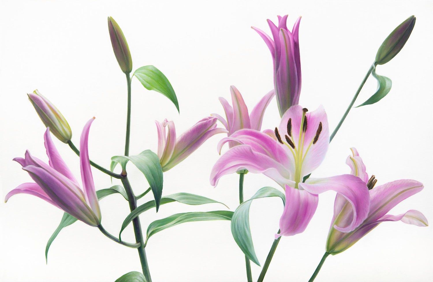 Basket of Lilies, Large Format Flowers Photo 24X20 Color Photograph Beach House