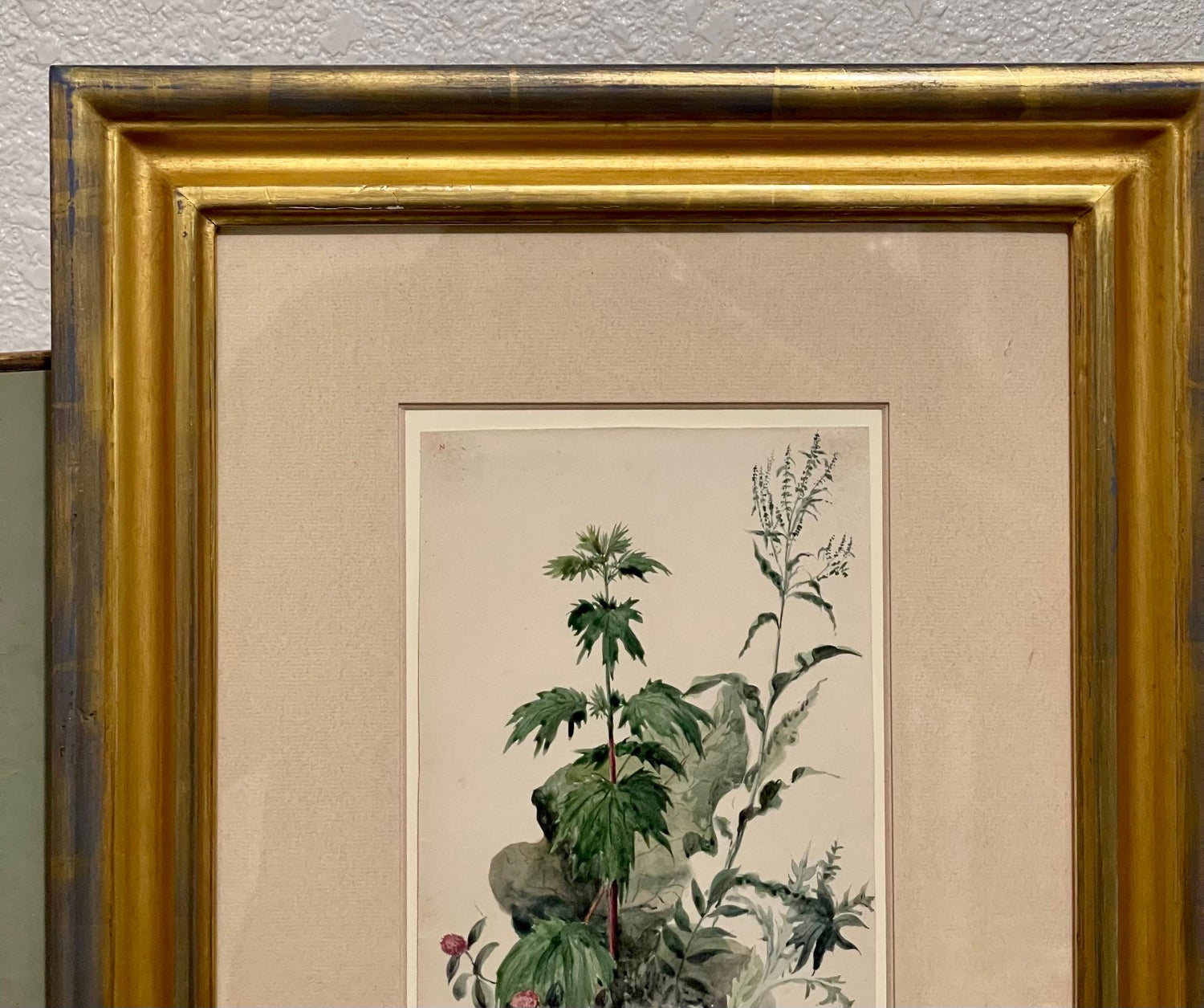 Plants, Bristol 1863 Watercolor Painting American Artist Charles DeWolf Brownell