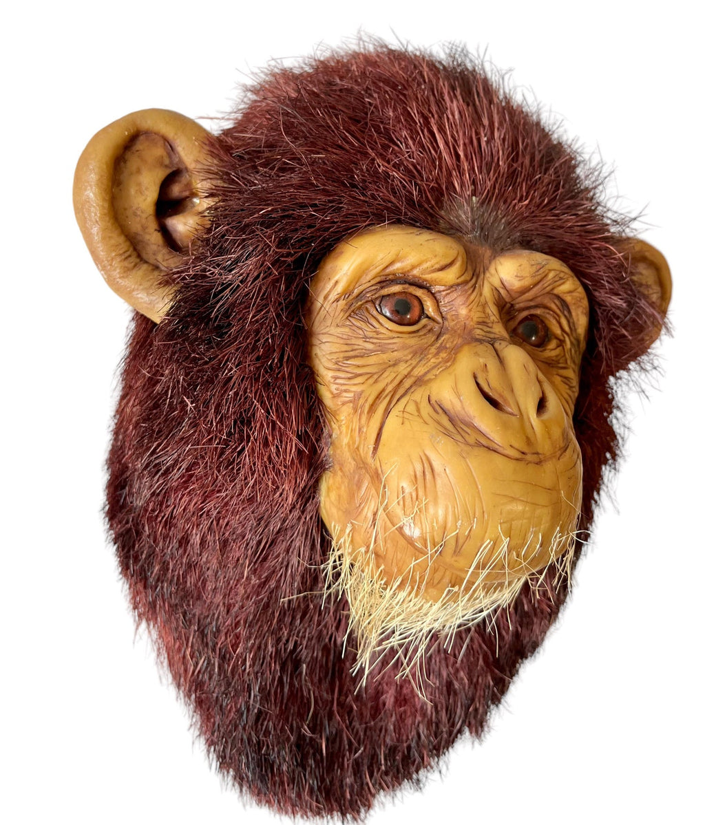 Monkey Head Natural Sisal Fiber Clay Sculpture Chimpanzee Anne Andersson Art