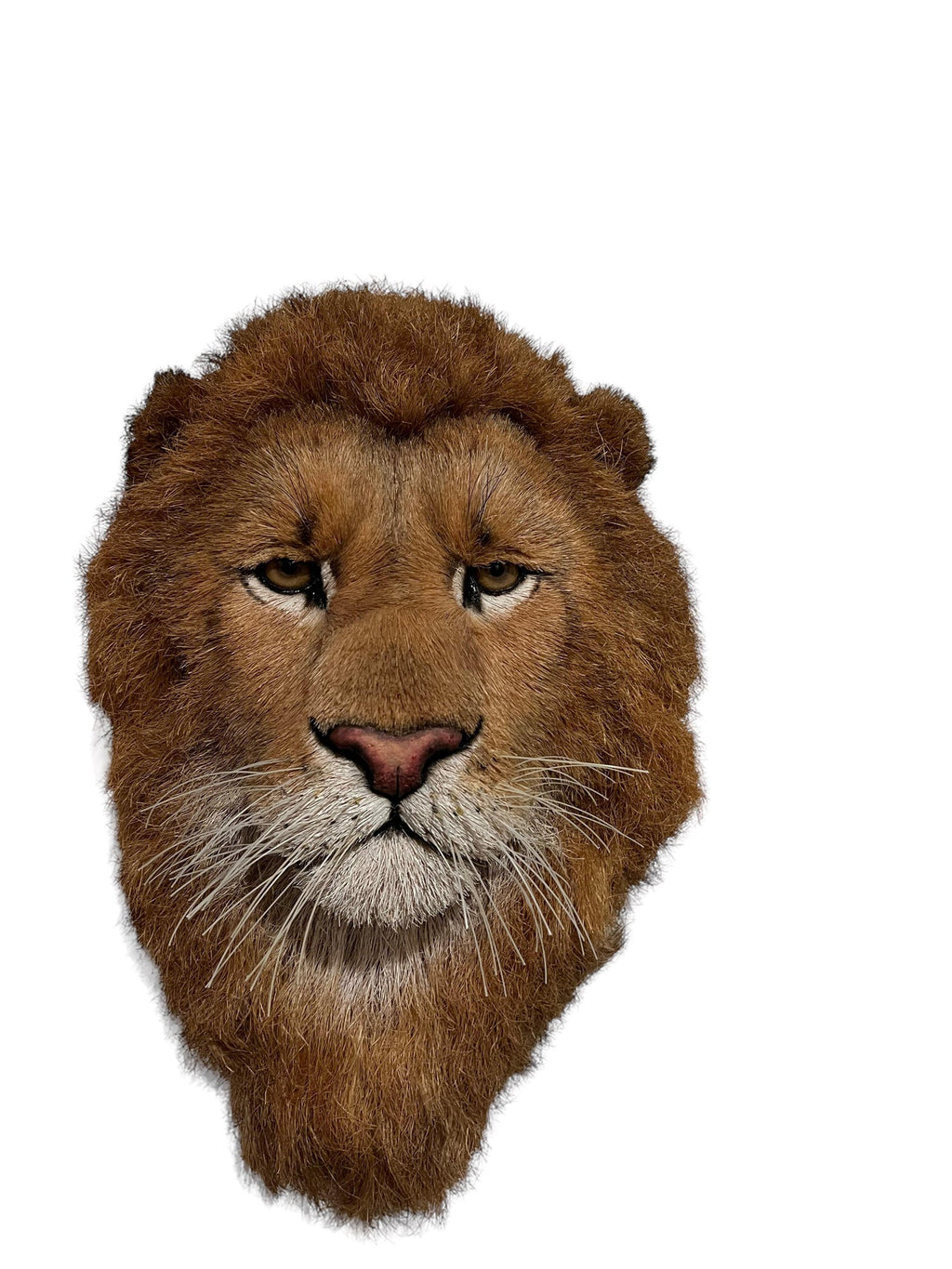 Lions Head Big Game Trophy Natural Sisal Fiber Sculpture Lion Anne Andersson Art