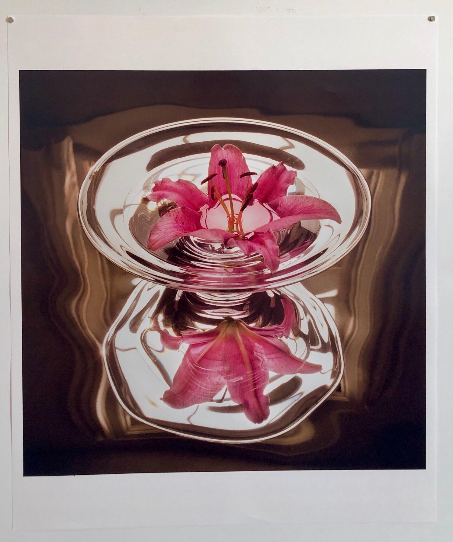 Floating Lily, Large Format Photo 24X20 Color Photograph Beach House