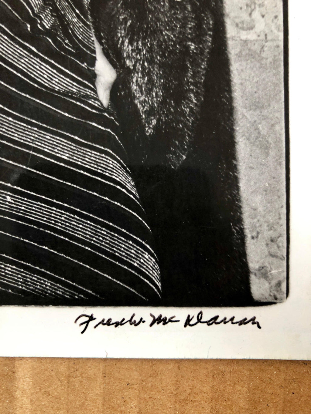 Vintage Print Silver Gelatin Signed Photograph Brazilian Actress Sonia Braga
