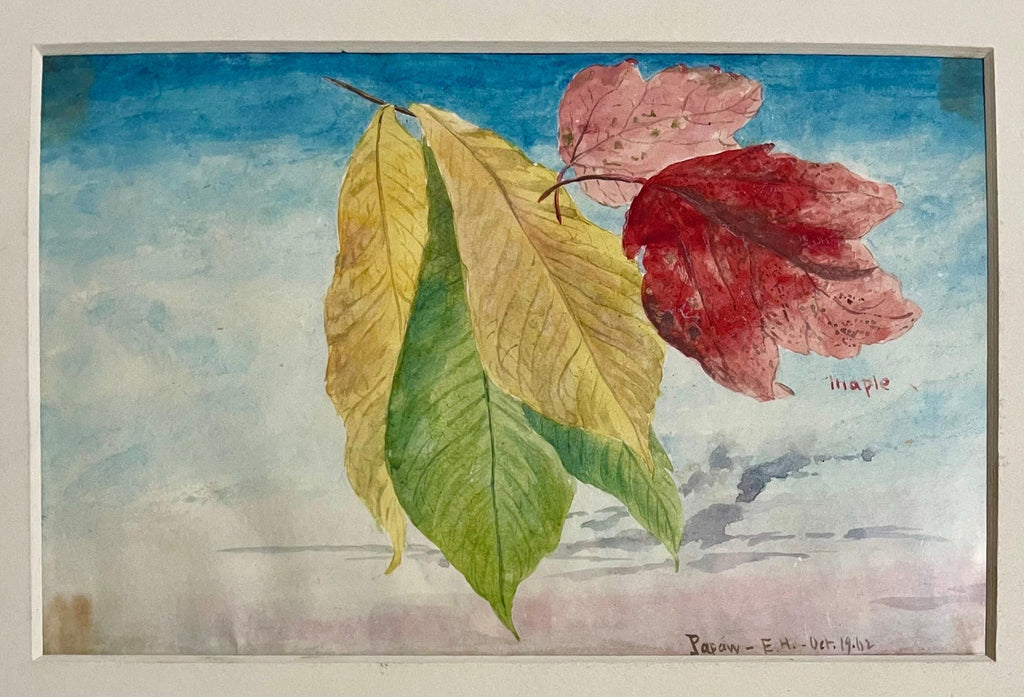 Plants, Bristol 1863 Watercolor Painting American Artist Charles DeWolf Brownell