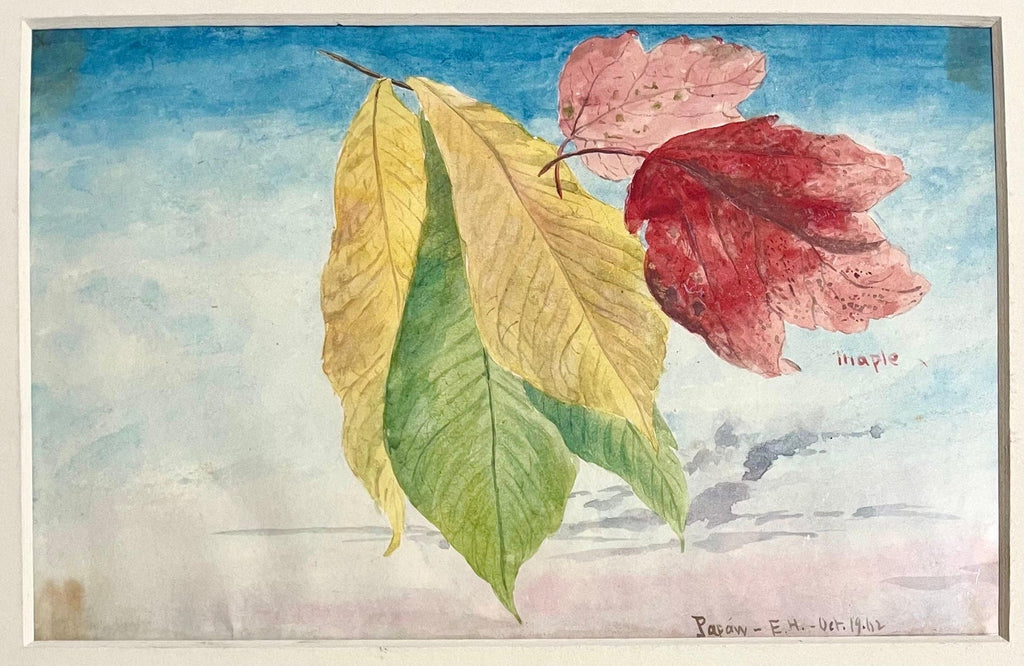 Maple Leaves Watercolor Painting 19th C. American Artist Charles DeWolf Brownell