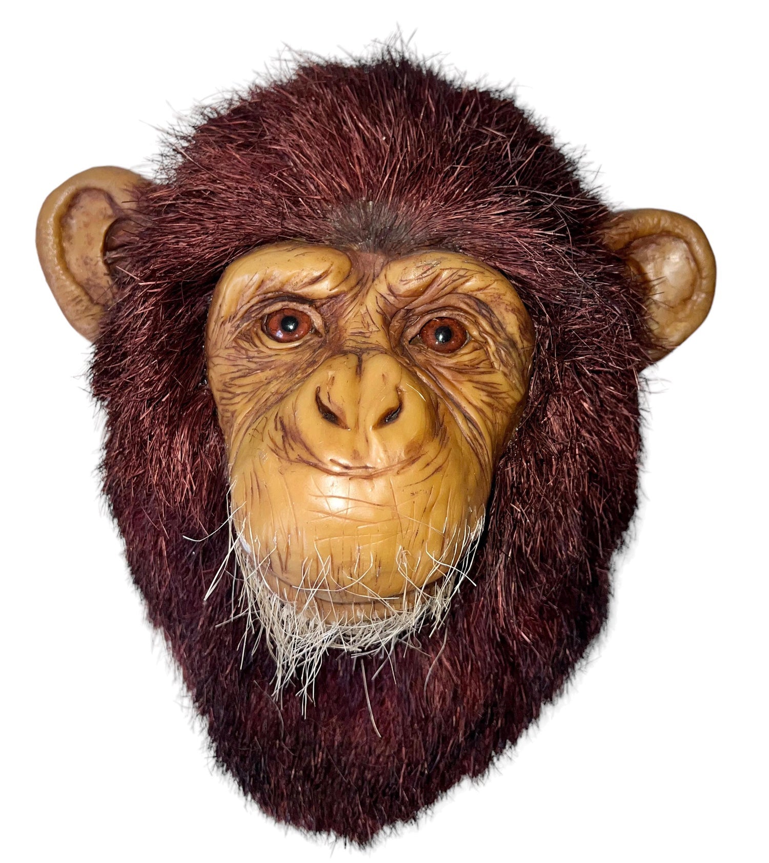 Monkey Head Natural Sisal Fiber Clay Sculpture Chimpanzee Anne Andersson Art