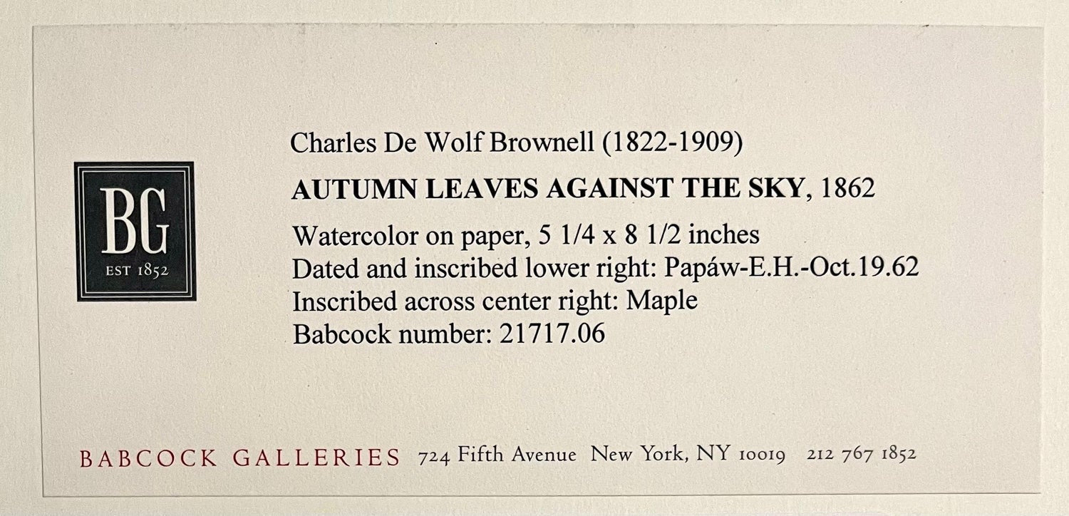 Maple Leaves Watercolor Painting 19th C. American Artist Charles DeWolf Brownell