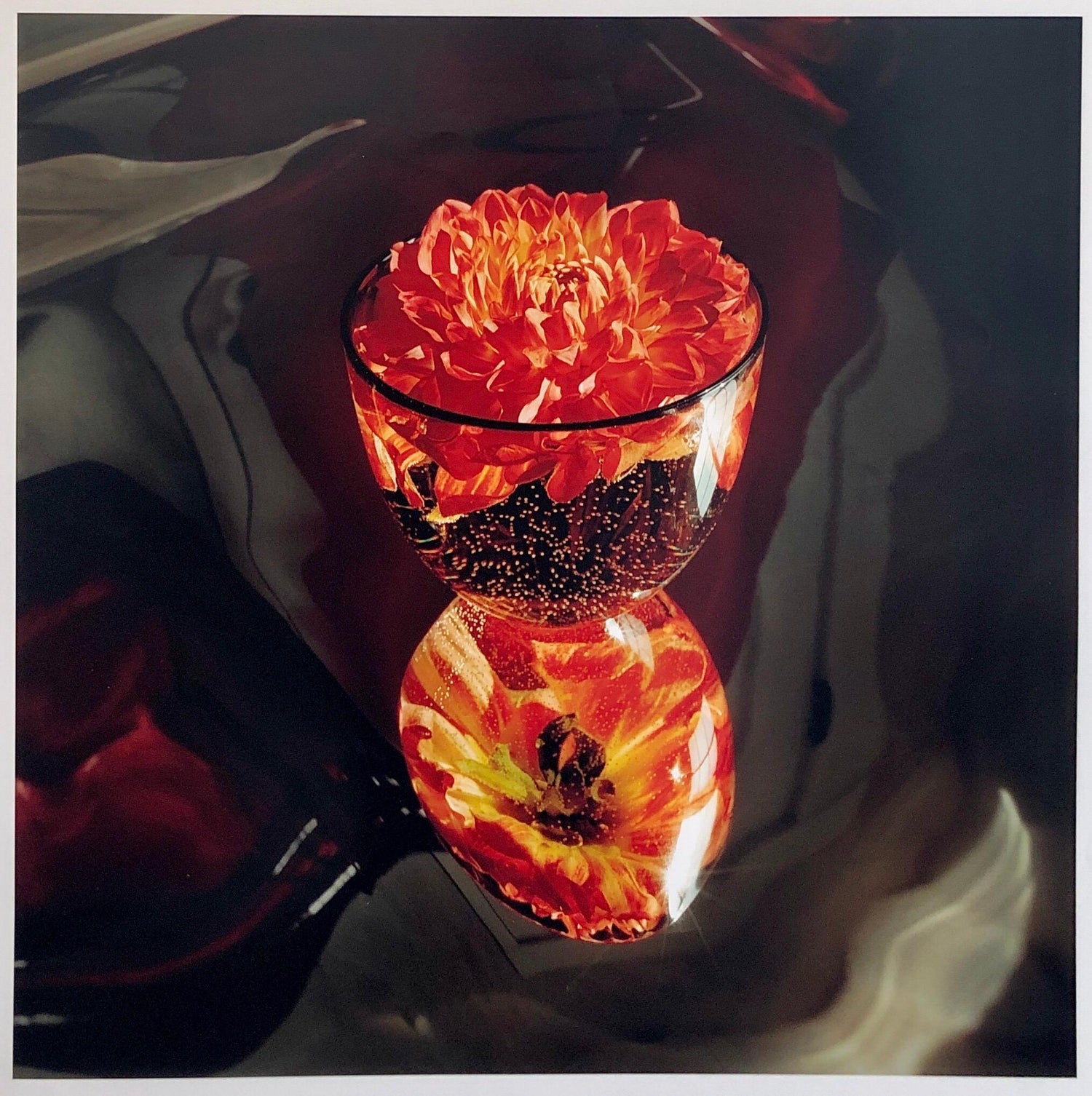 Floating, Flowers, Large Format Photo 24X20 Color Photograph Beach House
